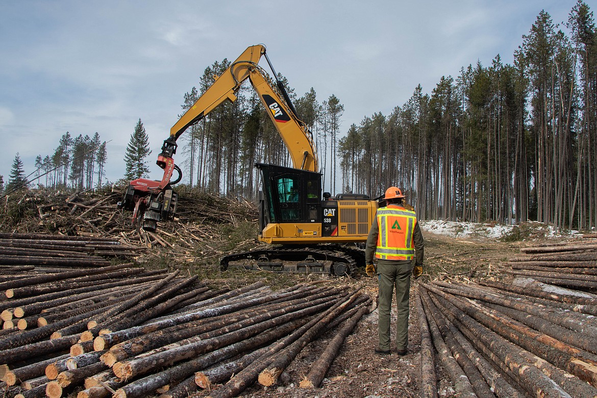 Making Every Acre Count With Efficient Forestry And Land Management Equipment